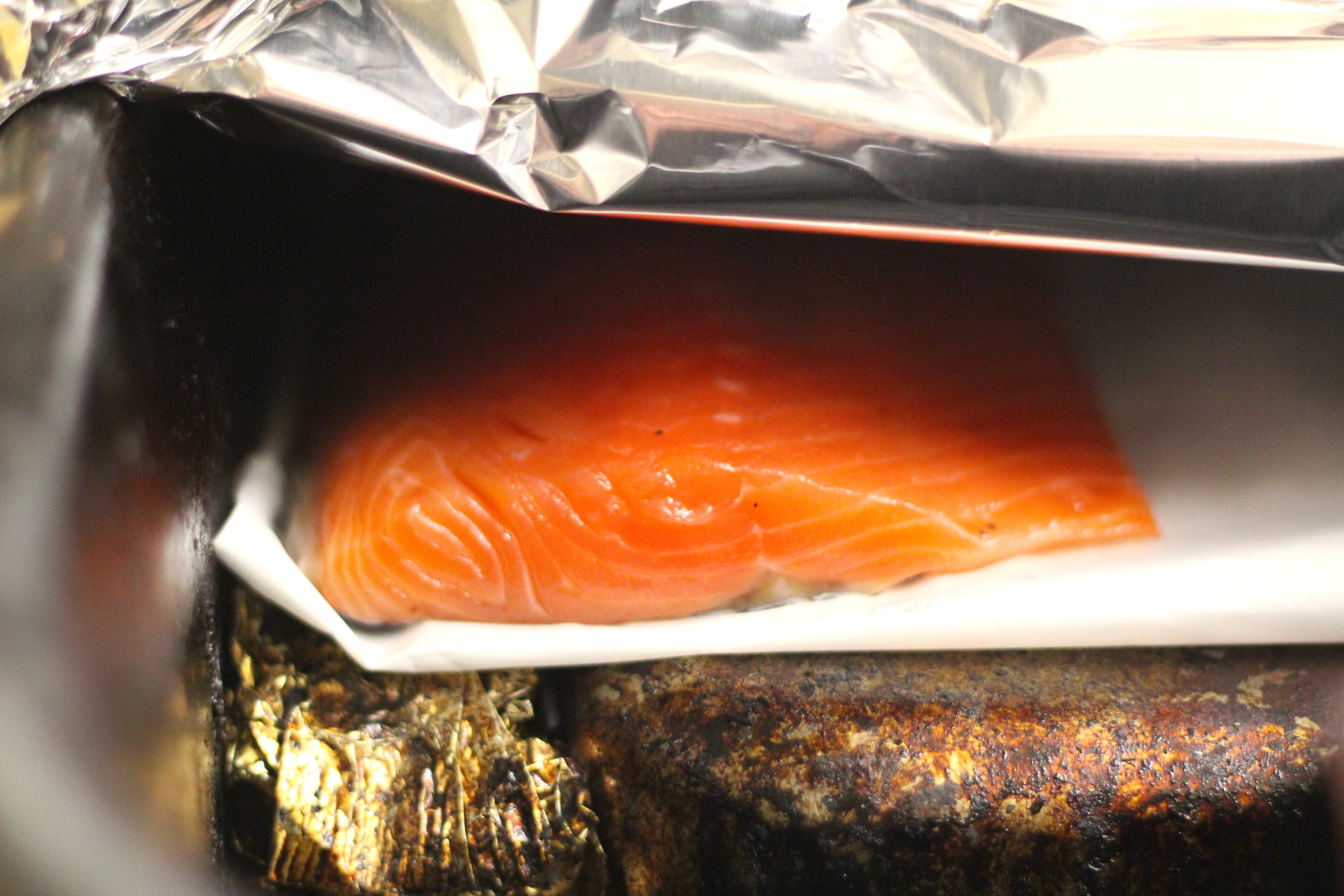 Salmon in tin