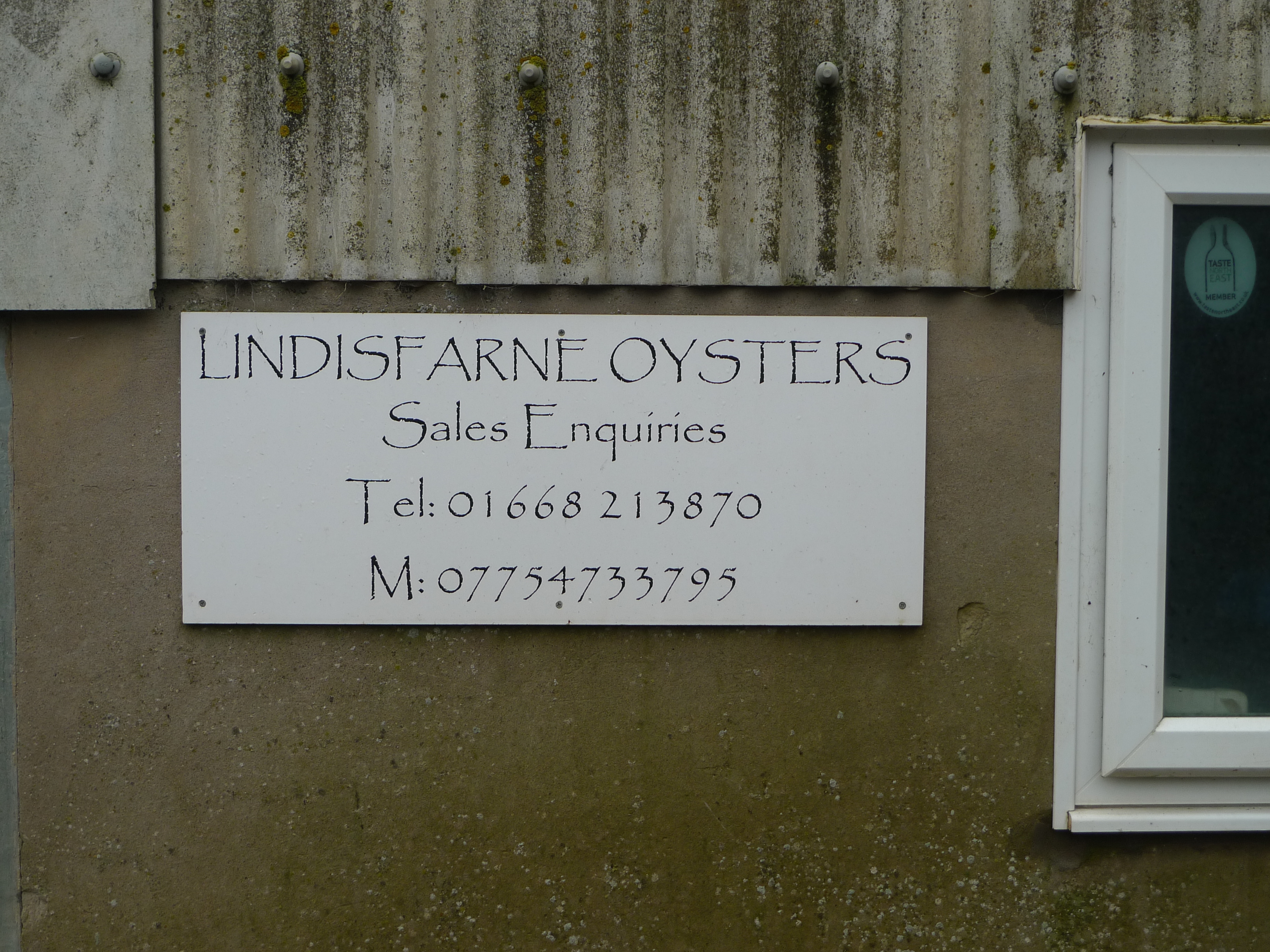 Lindisfarne Oysters
