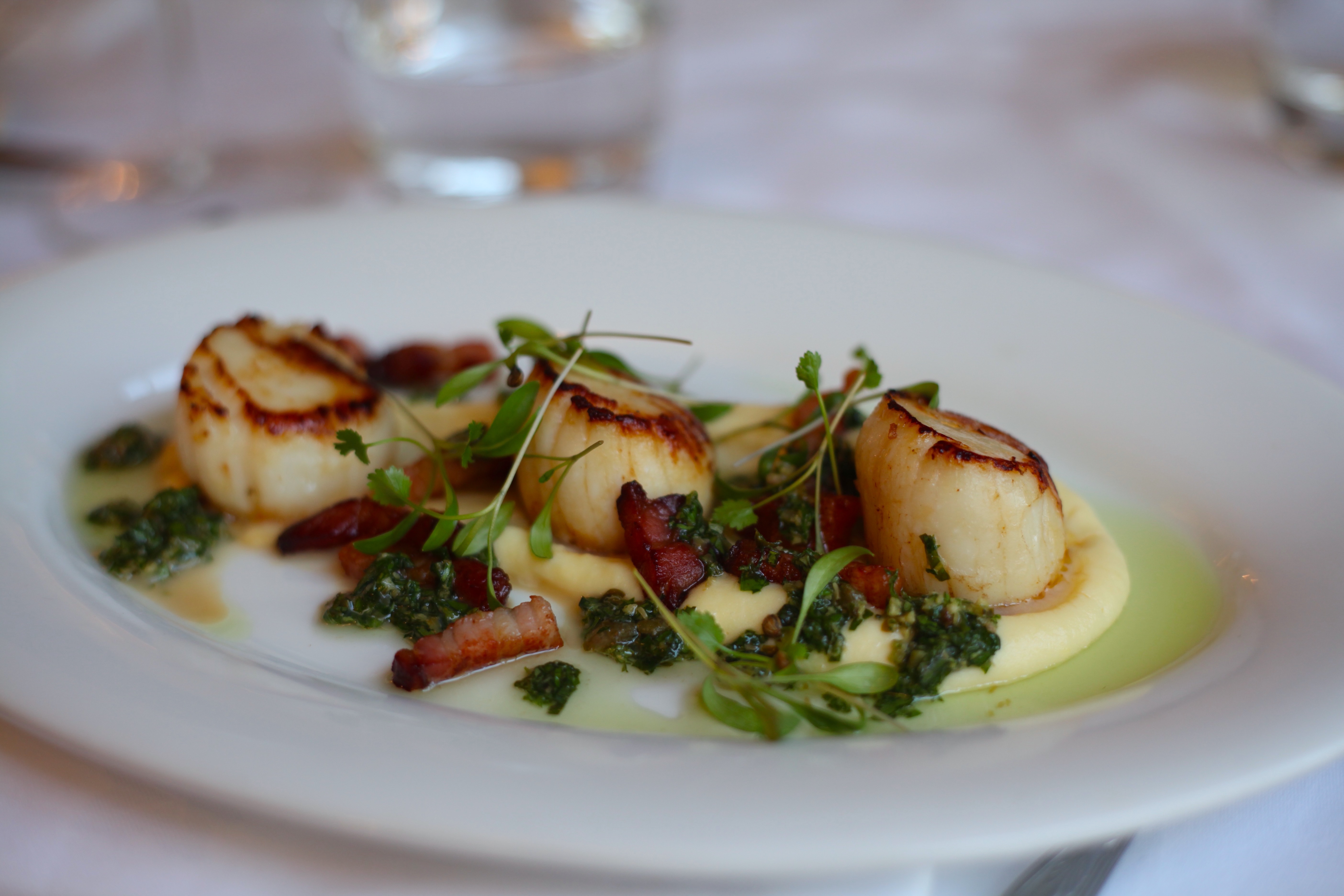 Plate of scallops with salsa verde and bacon with creamed celeriac
