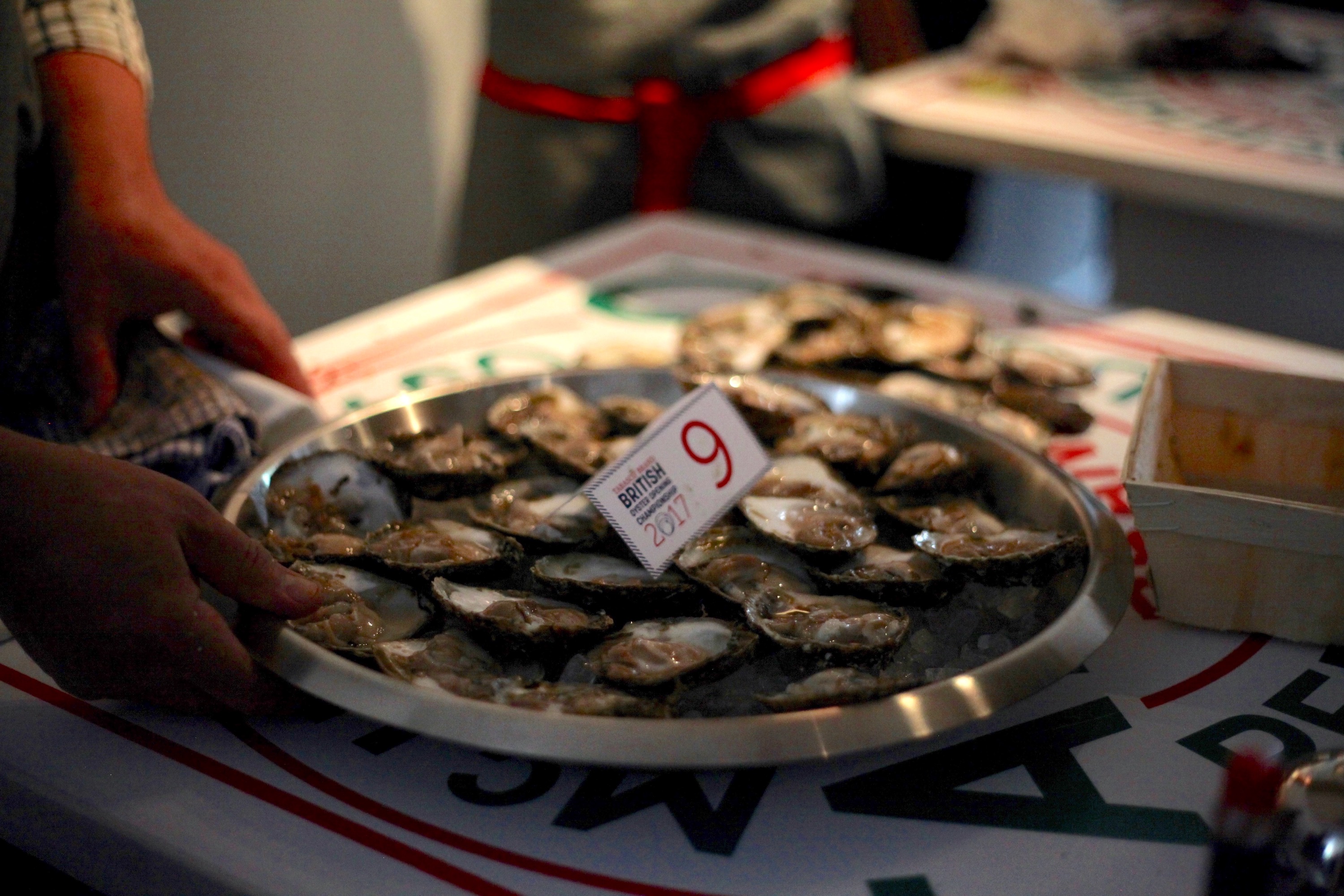 Final platter of shucked oysters, waiting to be judges