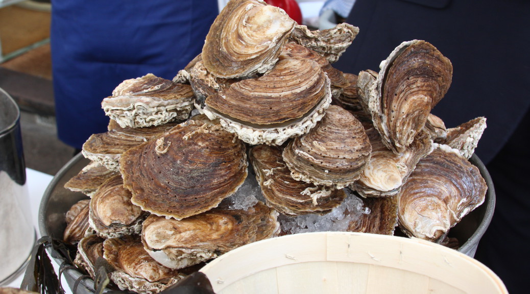 New oyster season