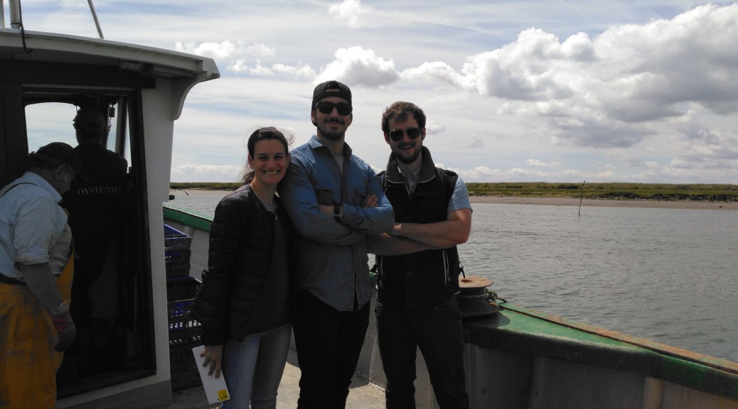 Staff team out on the boat at West Mersea Island